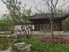 -上海滨江森林公园