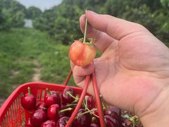 -肥福排档(星光店)
