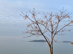 -西山风景区