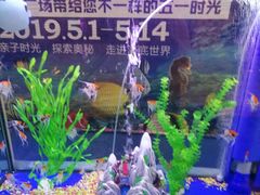 -欧亚达商业广场(红桥店)