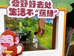 -合肥野生动物园