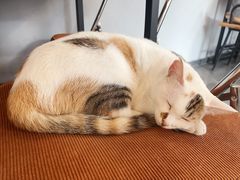 -转山咖啡(松柏社区店)