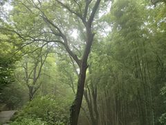 -敬亭山风景名胜区