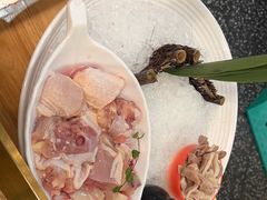 -洪氏嗨捞·猪肚鸡火锅(阳光天地店)