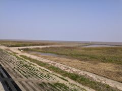 -南汇嘴观海公园