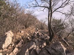-沈阳辉山风景区