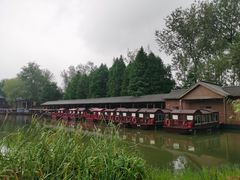 -溱湖国家湿地公园