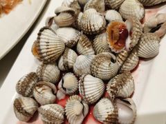 血蛤-华盛丰温州大排档(东三环南路店)