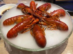 精品冰镇蓝龙虾-红盔甲·小龙虾(车公庙店)