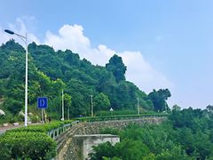 -火炉山森林公园