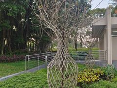 -东莞植物园