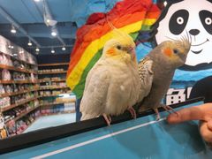 -龟与熊猫宠物公园(南坪店)