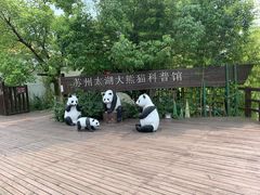 -苏州太湖国家湿地公园