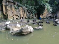 -燕塞湖鸟语林景区