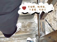 -洛阳白云山景区