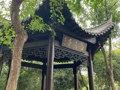 -合肥滨湖国家森林公园