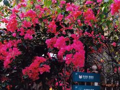 -默迹咖啡馆