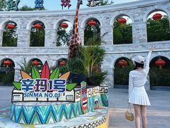 -辛玛王国游乐园