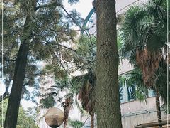 -翠湖湾海鲜音乐餐厅