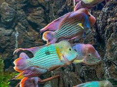 -重庆欢乐海底世界