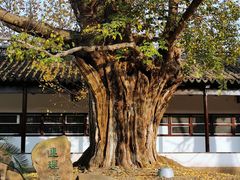 -苏州文庙(姑苏区)