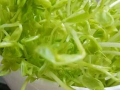 -清真华宇开锅羊肉
