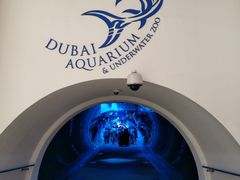 -迪拜水族馆及水下动物园