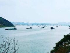 -羚羊峡古栈道森林公园