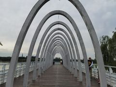 -大兴滨河森林公园