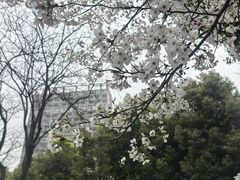 -堤角公园