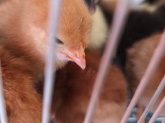 -绵阳人民公园(涪城区)