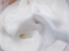 -洪馨椰子