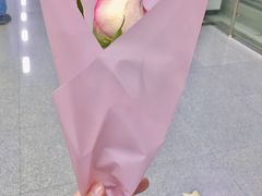 -优衣库(深圳万象天地旗舰店)