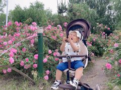 -长春公园(普阳街道)