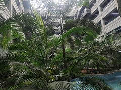 -黑龙江中医药大学附属第一医院