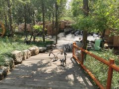 -北京野生动物园