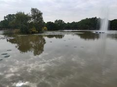 -大湾区中央湿地公园