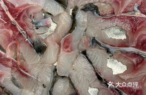 Fresh-Cut Zhongshan Crisp-Flesh Carp