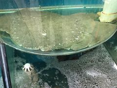 -聚德福海鲜家常菜(刘庄店)