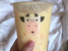 -一只酸奶牛(春熙路店)