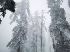 -瓦屋山景区