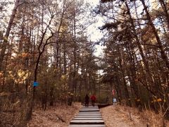 -帽儿山国家森林公园