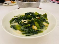 上汤海带苗-湛江菜.江南首席(昆山店)