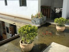 -翠田Green Field Kitchen