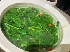 清水时蔬-醉庐·新上海菜(南京西路店)