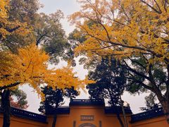 -灵岩山风景区