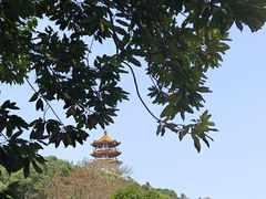 -深圳仙湖植物园
