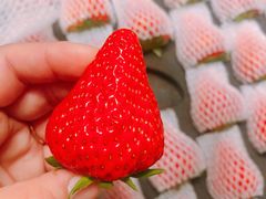 -嘉华国际商业中心