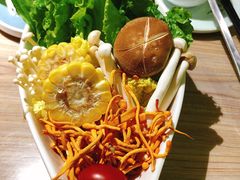 -探窝·竹笙椰子鸡(杨箕店)