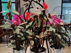 -津菜宋记老房子(鼓楼店)